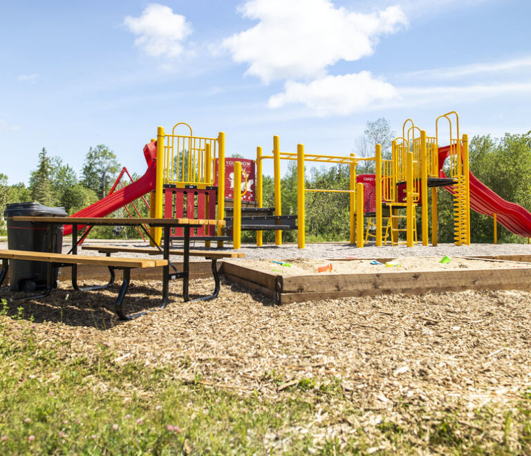 Play Structure, Playhouse, and Swings