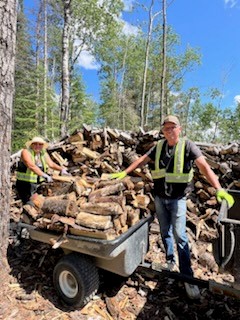 FULL BUCKET OF WOOD