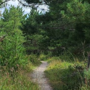 ancient beach trail