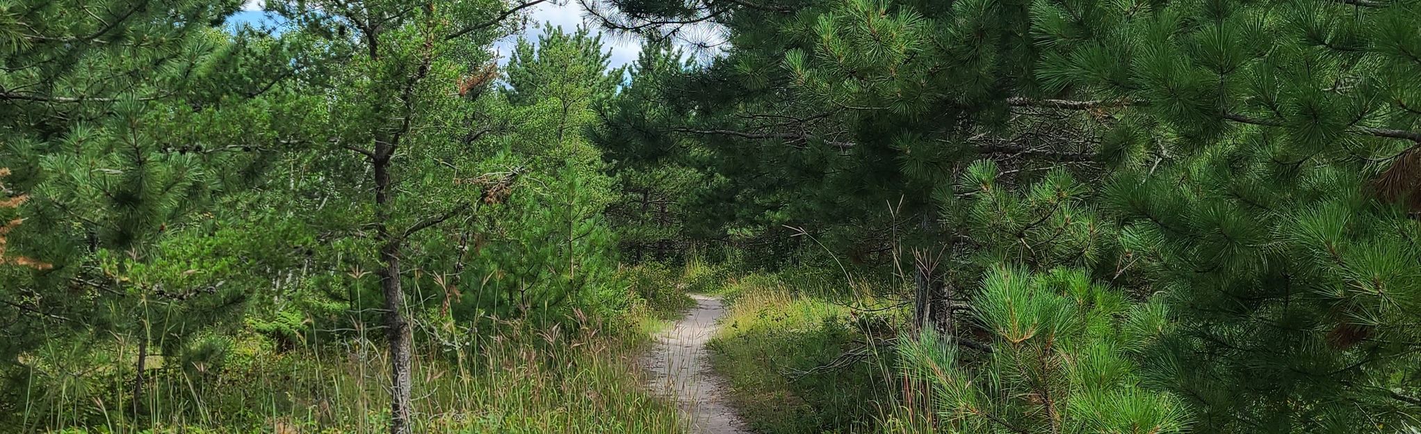 ancient beach trail