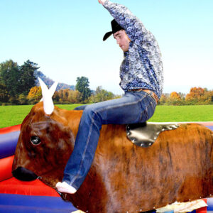 bull riding