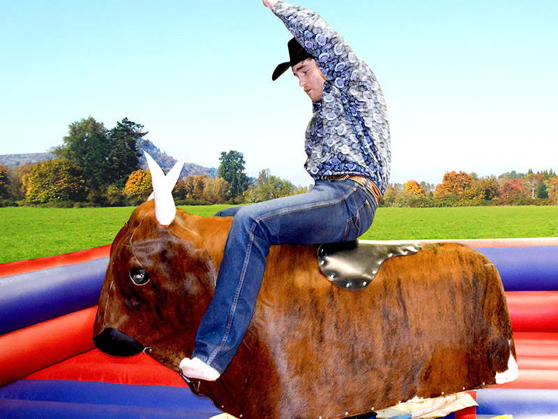 bull riding
