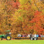 hay ride