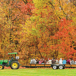 hay ride