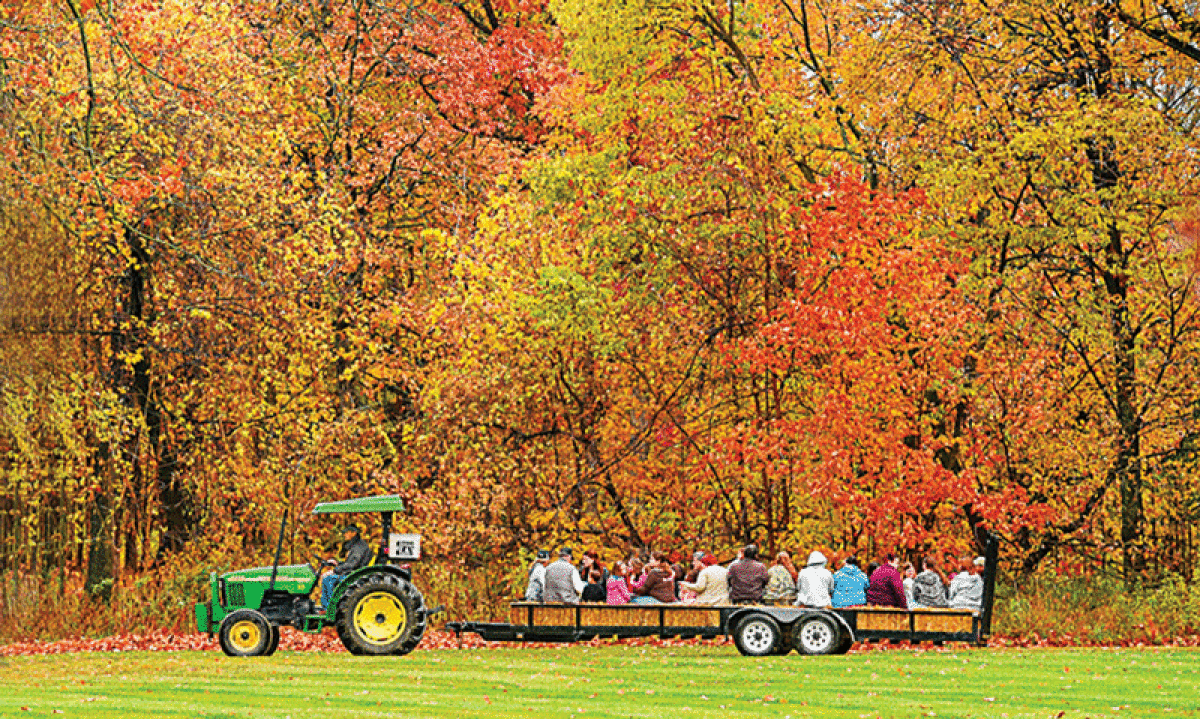 hay ride